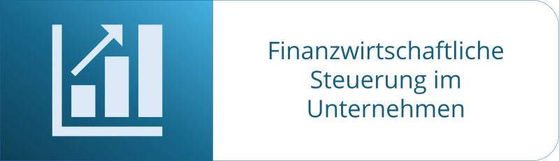 finanzwirtschaftliche Steuerung
